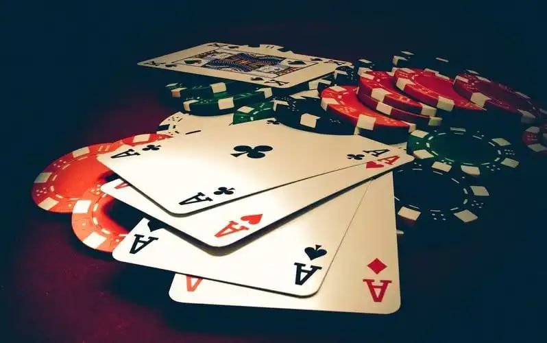 tigre bet